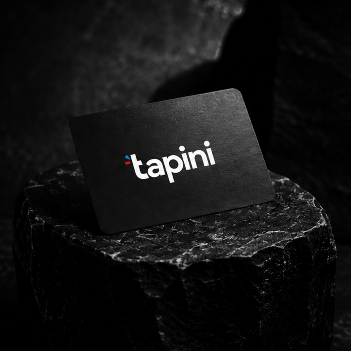 Carte professionnelle TAPINI noire
